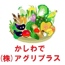 会員情報　メイン画像