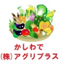 (株)アグリプラス